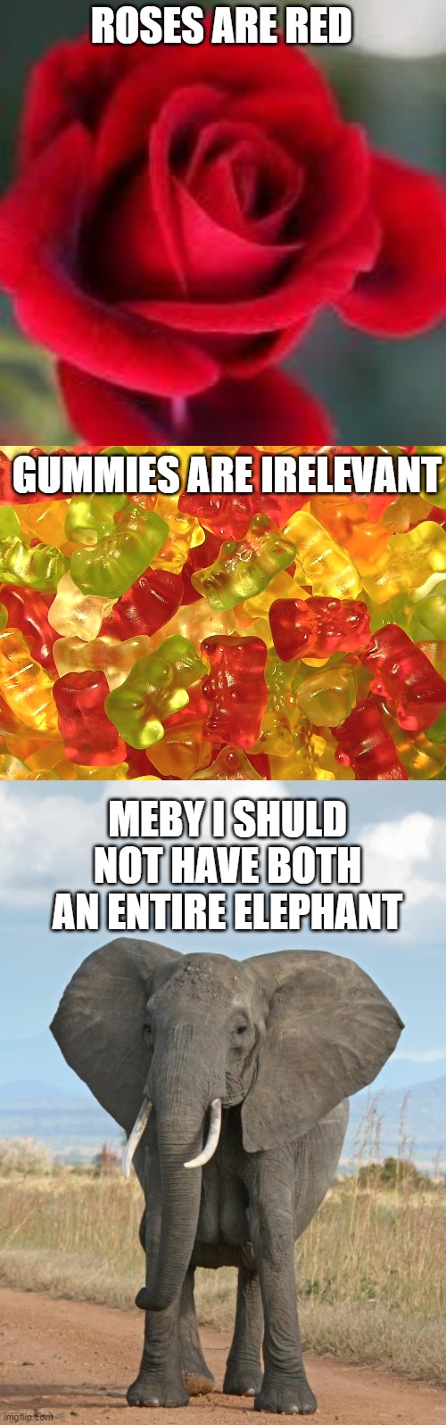 roses are red, gummy bears are irelavant... | ROSES ARE RED; GUMMIES ARE IRELEVANT; MEBY I SHULD NOT HAVE BOTH AN ENTIRE ELEPHANT | image tagged in roses are red,gummy bears,elephant | made w/ Imgflip meme maker