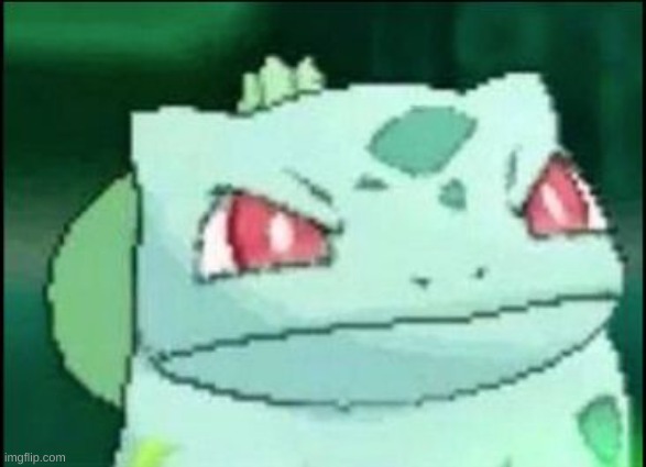 Angry Bulbasaur | image tagged in angry bulbasaur | made w/ Imgflip meme maker