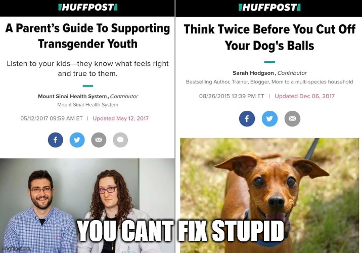 Walking Contradiction | YOU CANT FIX STUPID | image tagged in transgender,trans,tired of hearing about transgenders,balls,gender confusion,gender identity | made w/ Imgflip meme maker
