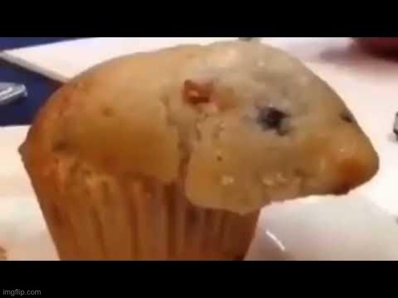 Hamster muffin | image tagged in muffin | made w/ Imgflip meme maker