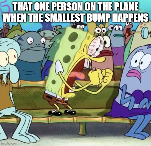 free epic Tsoureki | THAT ONE PERSON ON THE PLANE WHEN THE SMALLEST BUMP HAPPENS | image tagged in spongebob yelling | made w/ Imgflip meme maker