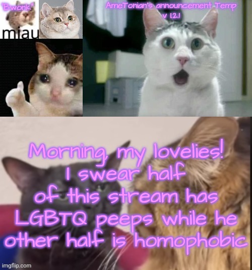 And fun fact: if you fight avidly against the other, TOUCH FUCKING GRASS | Morning, my lovelies!
I swear half of this stream has LGBTQ peeps while he other half is homophobic | image tagged in ametonian's announcement temp v 1 2 1 | made w/ Imgflip meme maker