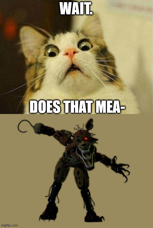 Scared Cat Meme | WAIT. DOES THAT MEA- | image tagged in memes,scared cat | made w/ Imgflip meme maker