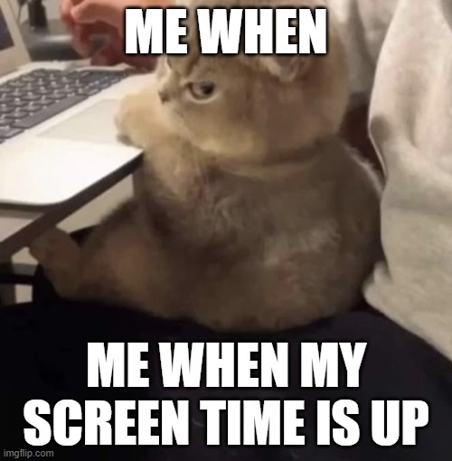 at least i don't have it on my computer anymore :) | ME WHEN; ME WHEN MY SCREEN TIME IS UP | image tagged in angry kitten computer,imgflip,internet,screen time,memes,cute cat | made w/ Imgflip meme maker