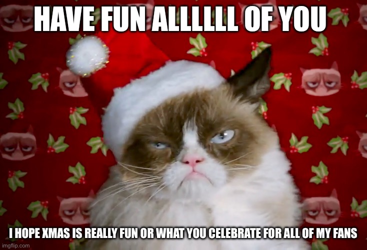 Grumpy cat Xmas | HAVE FUN ALLLLLL OF YOU; I HOPE XMAS IS REALLY FUN OR WHAT YOU CELEBRATE FOR ALL OF MY FANS | image tagged in grumpy cat xmas | made w/ Imgflip meme maker