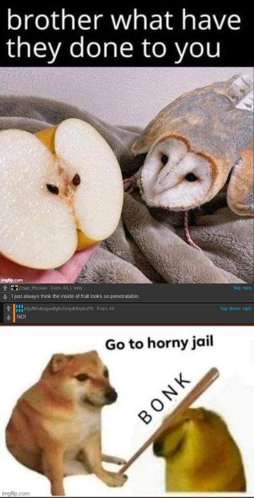 horny jail... NOW! | image tagged in go to horny jail | made w/ Imgflip meme maker