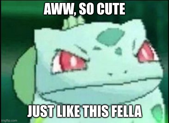 Angry Bulbasaur | AWW, SO CUTE JUST LIKE THIS FELLA | image tagged in angry bulbasaur | made w/ Imgflip meme maker