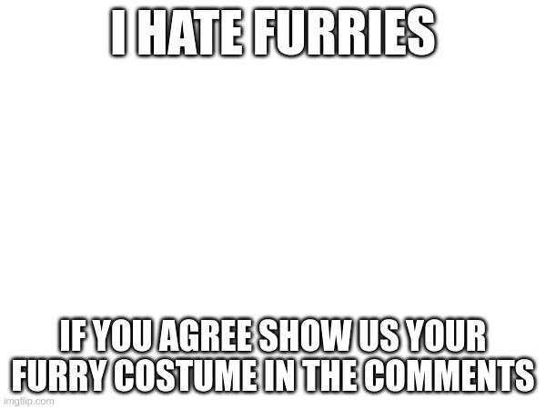 huh? | I HATE FURRIES; IF YOU AGREE SHOW US YOUR FURRY COSTUME IN THE COMMENTS | image tagged in anti-furry | made w/ Imgflip meme maker