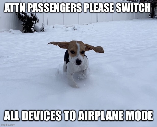 ATTN PASSENGERS PLEASE SWITCH; ALL DEVICES TO AIRPLANE MODE | image tagged in airplane,beagle,take off | made w/ Imgflip meme maker