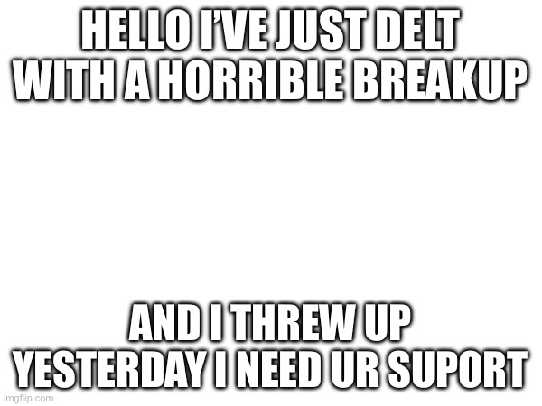 Plz | HELLO I’VE JUST DELT WITH A HORRIBLE BREAKUP; AND I THREW UP YESTERDAY I NEED UR SUPORT | image tagged in one does not simply | made w/ Imgflip meme maker