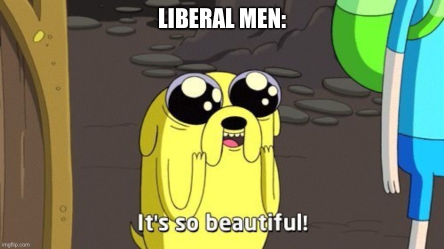 Adventure time | LIBERAL MEN: | image tagged in adventure time | made w/ Imgflip meme maker