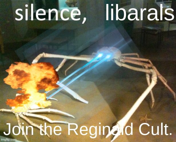 This is for everyone. Im making a Reginald cult for imgflip. If your interested comment. we will rule! | libarals; Join the Reginald Cult. | image tagged in silence crab,all hail reginald,our lord and savior reginald,cult,reginald | made w/ Imgflip meme maker
