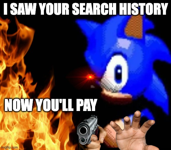 His revenge | I SAW YOUR SEARCH HISTORY; NOW YOU'LL PAY | image tagged in sonic stares | made w/ Imgflip meme maker
