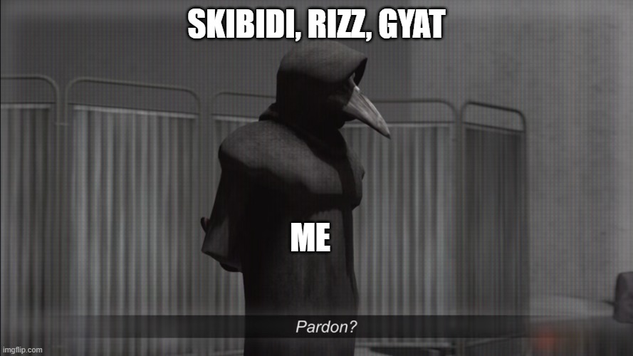 the f you say? | SKIBIDI, RIZZ, GYAT; ME | image tagged in scp 049 pardon | made w/ Imgflip meme maker