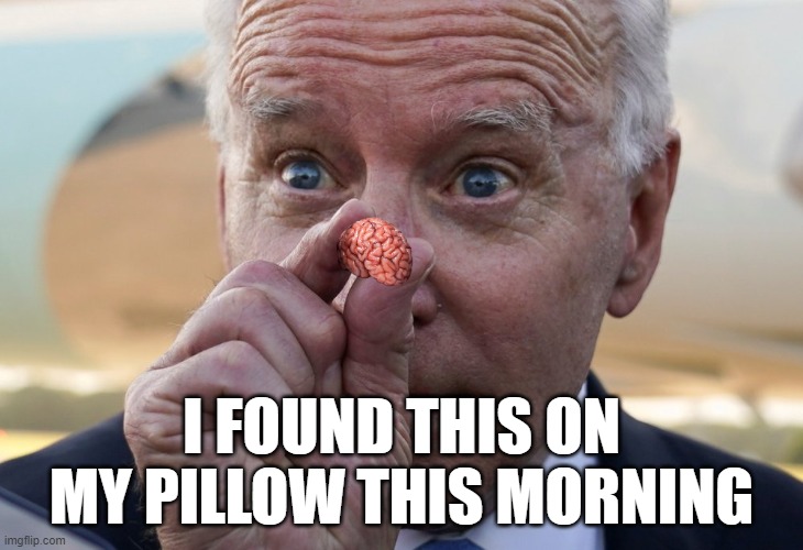 Lay your head upon my pillow for the good times, Bobby Bare | I FOUND THIS ON
MY PILLOW THIS MORNING | image tagged in fjb,brains,brain dead,joe biden,biden,pillow | made w/ Imgflip meme maker