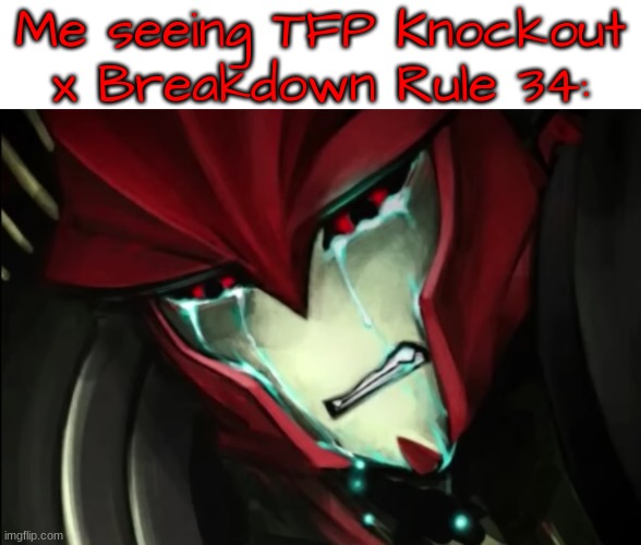 Knockout Sobbing | Me seeing TFP Knockout x Breakdown Rule 34: | image tagged in knockout sobbing | made w/ Imgflip meme maker