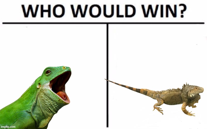 Who Would Win? Meme | image tagged in memes,who would win | made w/ Imgflip meme maker