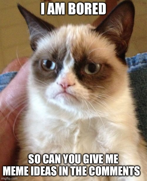 Meme ideas | I AM BORED; SO CAN YOU GIVE ME MEME IDEAS IN THE COMMENTS | image tagged in memes,grumpy cat | made w/ Imgflip meme maker
