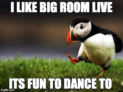 Unpopular Opinion Puffin Meme | I LIKE BIG ROOM LIVE ITS FUN TO DANCE TO | image tagged in memes,unpopular opinion puffin | made w/ Imgflip meme maker