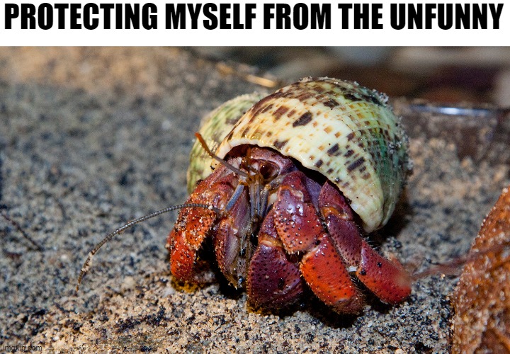 High Quality hermit crab unfunny armor Blank Meme Template