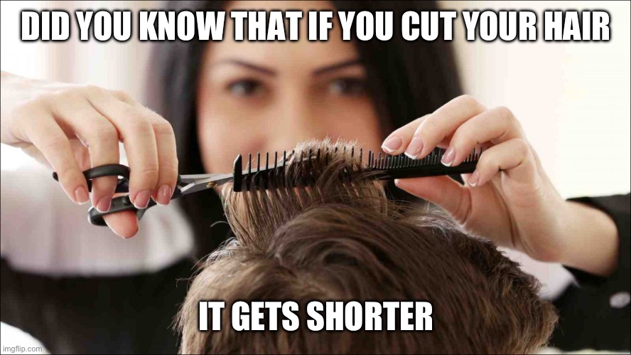 Stylist | DID YOU KNOW THAT IF YOU CUT YOUR HAIR; IT GETS SHORTER | image tagged in stylist | made w/ Imgflip meme maker