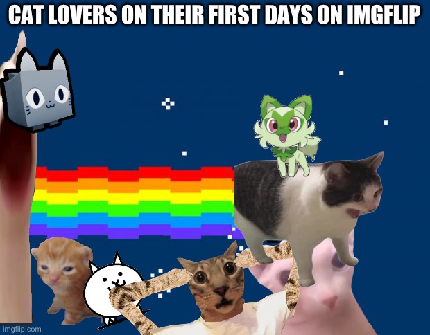 Nyan Cat | CAT LOVERS ON THEIR FIRST DAYS ON IMGFLIP | image tagged in nyan cat | made w/ Imgflip meme maker