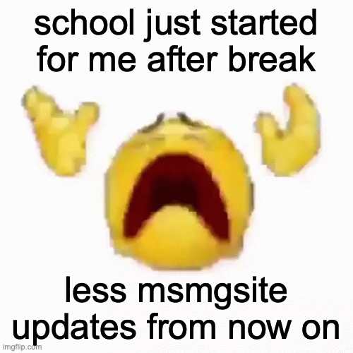 the show must go on tho | school just started for me after break; less msmgsite updates from now on | image tagged in nooo | made w/ Imgflip meme maker