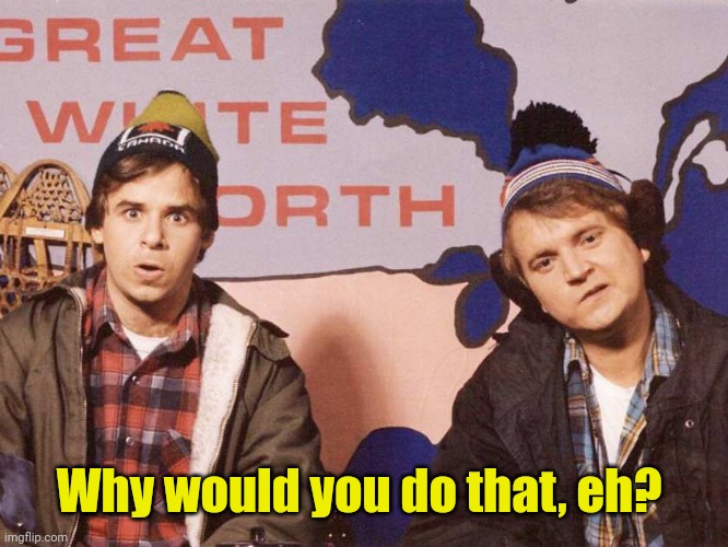 Bob and Doug | Why would you do that, eh? | image tagged in bob and doug | made w/ Imgflip meme maker