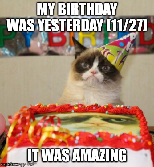 I'm now 17 years of age! | MY BIRTHDAY WAS YESTERDAY (11/27); IT WAS AMAZING | image tagged in memes,grumpy cat birthday,grumpy cat | made w/ Imgflip meme maker
