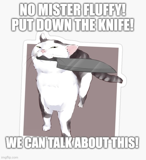 No this is not ok | NO MISTER FLUFFY! PUT DOWN THE KNIFE! WE CAN TALK ABOUT THIS! | image tagged in cats,get the knife,meow | made w/ Imgflip meme maker