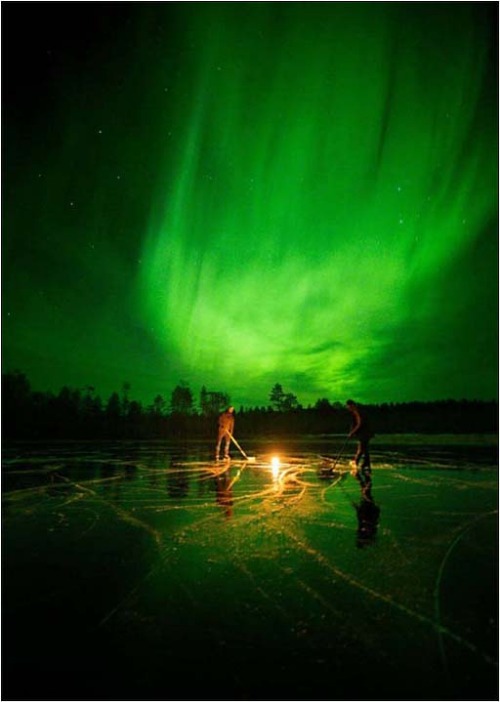 Playing Ice Hockey Under The Polar Lights ! | image tagged in ice hockey,polar lights | made w/ Imgflip meme maker