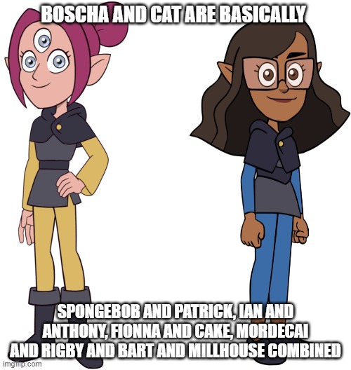 Boscha And Cat | BOSCHA AND CAT ARE BASICALLY; SPONGEBOB AND PATRICK, IAN AND ANTHONY, FIONNA AND CAKE, MORDECAI AND RIGBY AND BART AND MILLHOUSE COMBINED | image tagged in the owl house | made w/ Imgflip meme maker