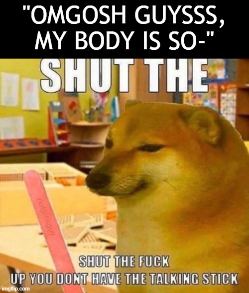 If you want some morons to oogle over you, go on reddit or discord | "OMGOSH GUYSSS, MY BODY IS SO-" | image tagged in shut the f u c k up | made w/ Imgflip meme maker