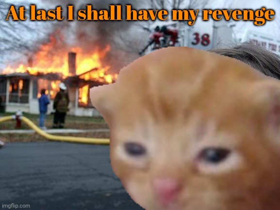 Disaster Girl Meme | At last I shall have my revenge | image tagged in memes,disaster girl | made w/ Imgflip meme maker