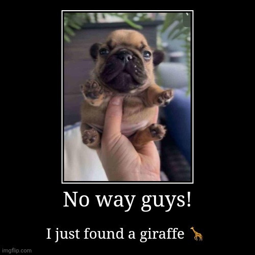 No way guys! | I just found a giraffe ? | image tagged in funny,demotivationals | made w/ Imgflip demotivational maker