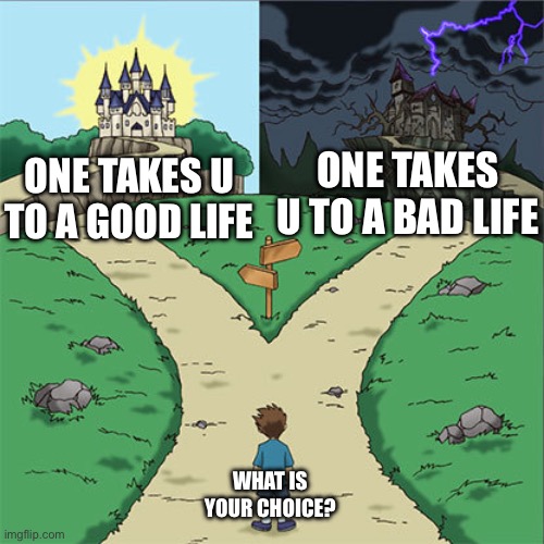 Pick one | ONE TAKES U TO A BAD LIFE; ONE TAKES U TO A GOOD LIFE; WHAT IS YOUR CHOICE? | image tagged in two paths | made w/ Imgflip meme maker