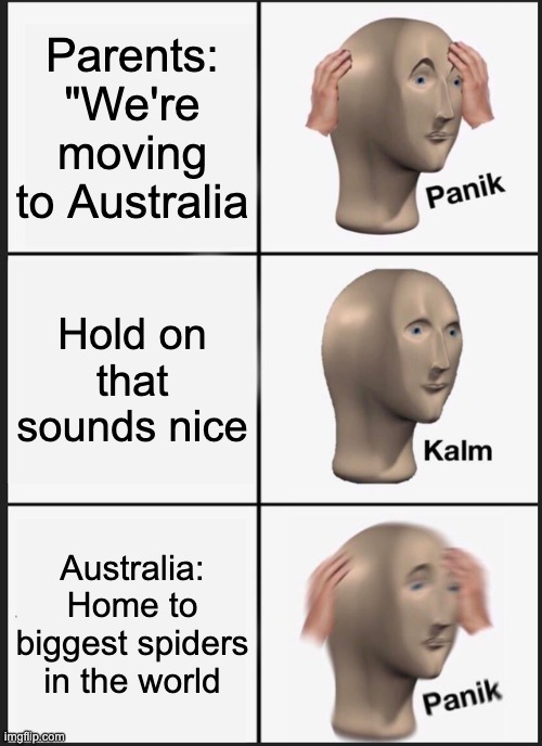 Panik Kalm Panik | Parents: "We're moving to Australia; Hold on that sounds nice; Australia: Home to biggest spiders in the world | image tagged in memes,panik kalm panik | made w/ Imgflip meme maker