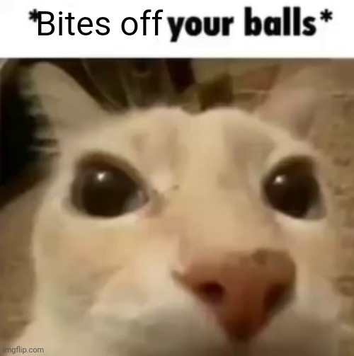 X your balls | Bites off | image tagged in x your balls | made w/ Imgflip meme maker