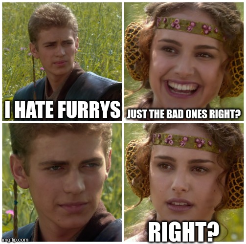 I’m going to change the world. For the better right? Star Wars. | I HATE FURRYS JUST THE BAD ONES RIGHT? RIGHT? | image tagged in i m going to change the world for the better right star wars | made w/ Imgflip meme maker