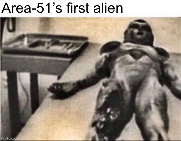 They look familiar.. | Area-51’s first alien | image tagged in area 51,alien | made w/ Imgflip meme maker