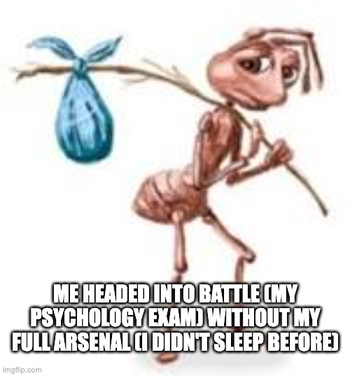 Sad ant with bindle | ME HEADED INTO BATTLE (MY PSYCHOLOGY EXAM) WITHOUT MY FULL ARSENAL (I DIDN'T SLEEP BEFORE) | image tagged in sad ant with bindle | made w/ Imgflip meme maker