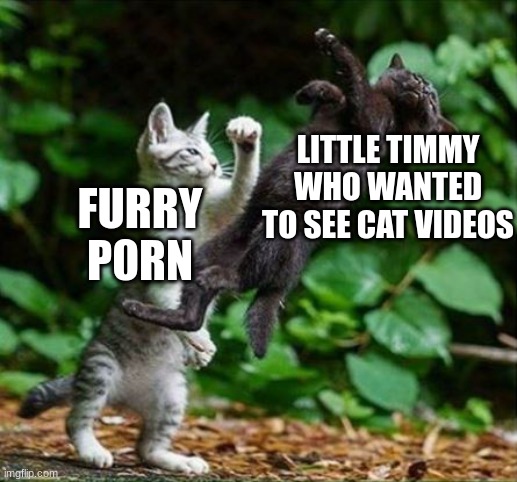 little timmy | LITTLE TIMMY WHO WANTED TO SEE CAT VIDEOS; FURRY P0RN | image tagged in cat punch | made w/ Imgflip meme maker