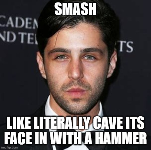 SMASH LIKE LITERALLY CAVE ITS
FACE IN WITH A HAMMER | made w/ Imgflip meme maker