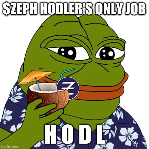 Zeph hodler's only job | $ZEPH HODLER'S ONLY JOB; H O D L | image tagged in you had one job,cryptocurrency,crypto | made w/ Imgflip meme maker