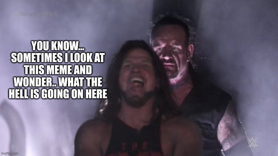 AJ Styles & Undertaker | YOU KNOW... SOMETIMES I LOOK AT THIS MEME AND WONDER.. WHAT THE HELL IS GOING ON HERE | image tagged in aj styles undertaker | made w/ Imgflip meme maker
