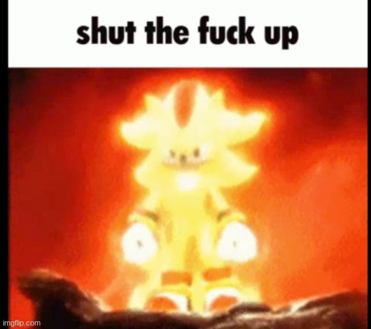 super shadow stfu | image tagged in super shadow stfu | made w/ Imgflip meme maker