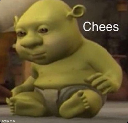baby shrek | image tagged in chees,baby shrek,the voices in my head are getting louder | made w/ Imgflip meme maker