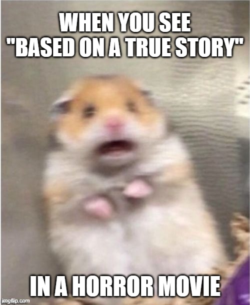 That will keep me awake all night (0_0) | WHEN YOU SEE "BASED ON A TRUE STORY"; IN A HORROR MOVIE | image tagged in scared hamster,horror,true story,movies | made w/ Imgflip meme maker