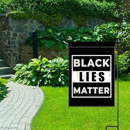 Black Lies Matter Blank Meme Template