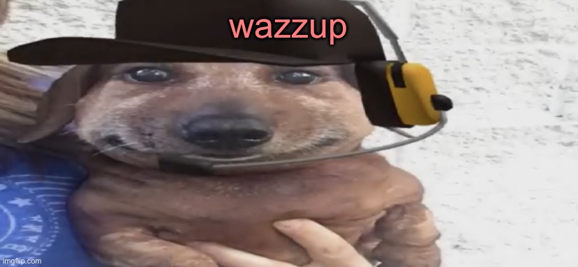 Dog with a happy face | wazzup | image tagged in chucklenuts | made w/ Imgflip meme maker